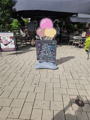 Tageskarte mit vielen veganen Sorten at Eiscafé Rialto - Rino Zava in Bingen Am Rhein