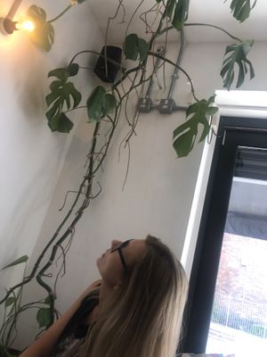 Plant 🌱 based   at Black Cat in East London