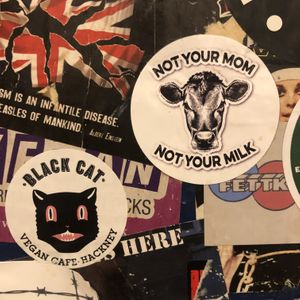 Vegan 🌱 sticker Art   at Black Cat in East London
