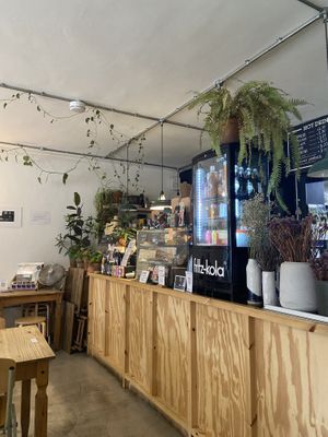   at Black Cat in East London