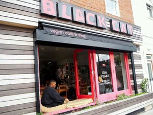 Windows  at Black Cat in East London