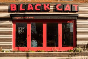 The Black Cat Cafe  windows bask in the Hackney sun! at Black Cat in East London