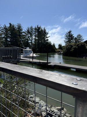   at Falafelove in Eureka