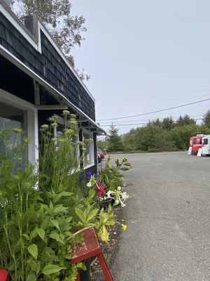   at Falafelove in Eureka