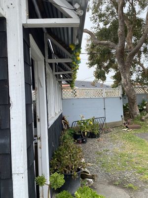   at Falafelove in Eureka