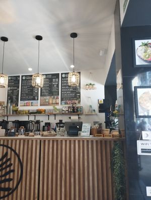 Inside at PLANT SHACK - Palma City in Mallorca