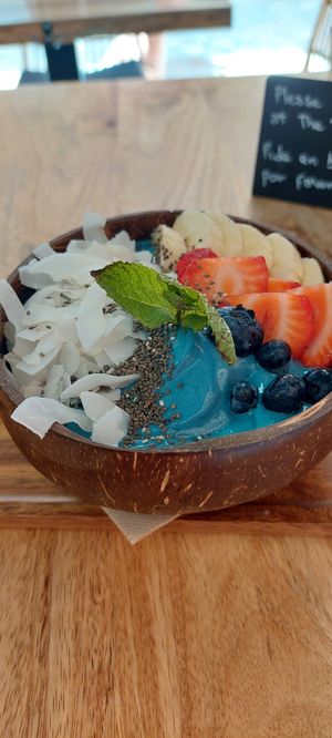  at PLANT SHACK - Palma City in Mallorca