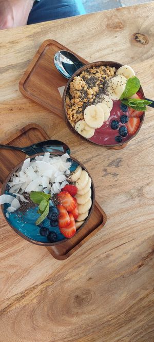  at PLANT SHACK - Palma City in Mallorca