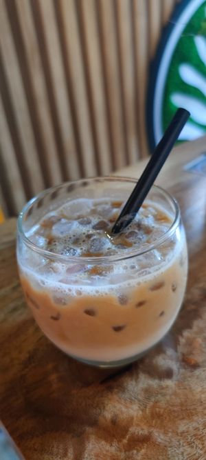  at PLANT SHACK - Palma City in Mallorca