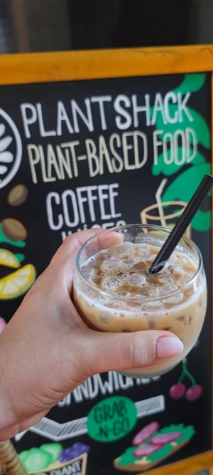  at PLANT SHACK - Palma City in Mallorca