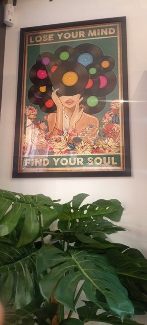  at PLANT SHACK - Palma City in Mallorca