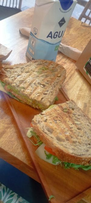  at PLANT SHACK - Palma City in Mallorca