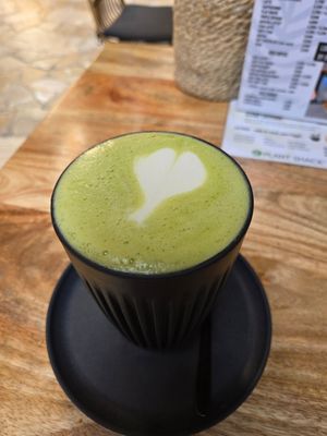  at PLANT SHACK - Palma City in Mallorca