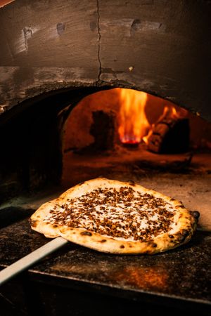 Truffle mushroom pizza at Canvas V in New Delhi