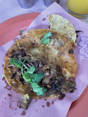   at Pinogüino Gastronomía Sustentable in San Andres Cholula