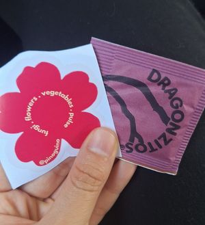 Están dando Dragoncitos y stickers de regalo en tu compra ❤️ at Pinogüino Gastronomía Sustentable in San Andres Cholula