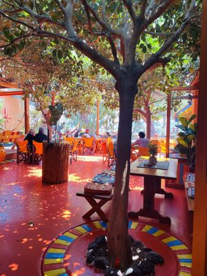   at Tranquilo in Santorini