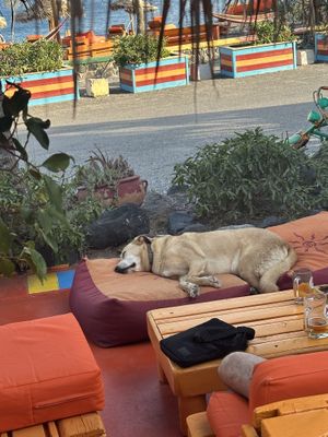   at Tranquilo in Santorini