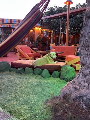 dog in the main part  at Tranquilo in Santorini