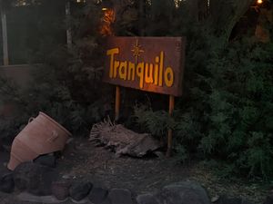  at Tranquilo in Santorini