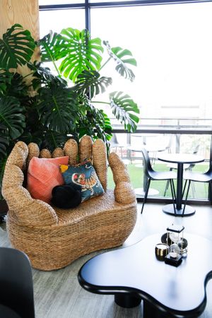 Miss Thang is a permanent resident at the cafe, people come from far and wide to hang out with her  at Cafe Mata in Wilmington