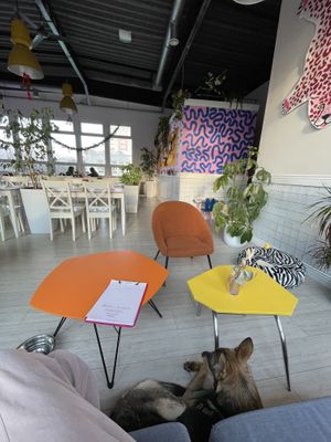   at Plażka in Gdansk