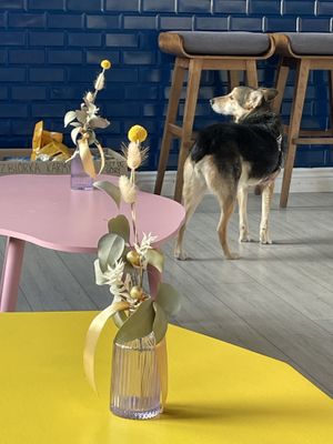   at Plażka in Gdansk