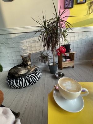   at Plażka in Gdansk