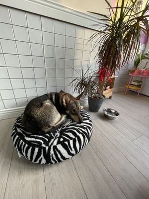   at Plażka in Gdansk