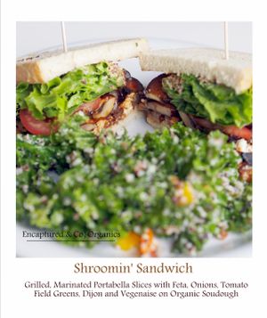 The Shroomin' Sandwich at Sprouts Cafe in Gastonia