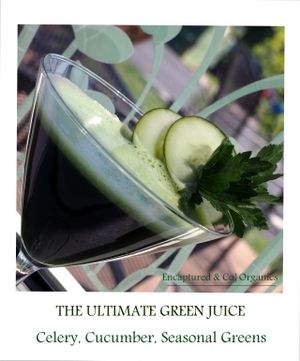 Ultimate Green Juice with Celery, Cucumber and Seasonal Greens.  at Sprouts Cafe in Gastonia