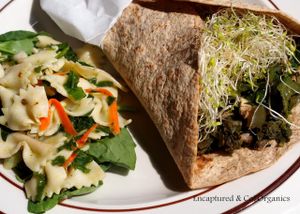 Grilled Asian Style Veggie Wrap! Grilled, Chopped Kale, Red Onions, Green Peppers, Celery, Rainbow Carrots, Shiitake Mushrooms seasoned with Braggs Aminos and served on a Rudi's Gluten Free 7 Grain Wrap!  at Sprouts Cafe in Gastonia