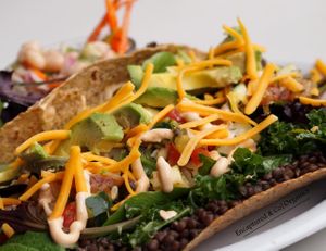 A seasoned Organic Black Lentils Taco in a 7-Grain & Flax Tortilla with Fresh Mixed Greens, Marinated Kale, Chunky Avocado, Veggie Salsa, Chipotle Aioli, and a Sprinkle of Cheddar Cheese!  at Sprouts Cafe in Gastonia