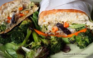 Grilled Veggie & Cheese Sandwich! Organic and Garden Fresh Veggies including Italian Zucchini, Carrots, Green Cabbage, Egg Plant, Onion and Broccoli grilled, seasoned, and topped with Parmesan, Romano, and Mozzarella Cheeses on a Toasted Tolera Roll! at Sprouts Cafe in Gastonia