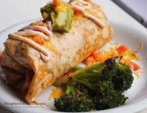 HUGE Black Bean Veggie Burrito, grilled and seasoned organic Veggies & Black Beans wrapped up in a Sundried Tomato Wrap with Chipotle Aioli & Cheddar Cheese topped with Avocado!  at Sprouts Cafe in Gastonia