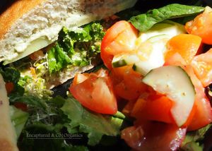 Summer Veggie Sandwich! Seasoned, Grilled, Sprout's own Garden Fresh Eggplant, Sprouts, Tomato, Cucumber, Fresh Avocado, Simple, Marinated, Kale and Carrot Salad, Herby Goat Cheese and Basil w/White Bean Hummus.  at Sprouts Cafe in Gastonia