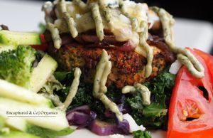 Low Carb Veggie Burger Mushroom Melt! White Bean Quinoa Veggie Burger topped with seasoned marinated White Button Mushrooms, Caramelized Red Onions, Mozzarella & Jarlsberg Swiss Cheese with Basil Aioli served over sauteed Curly Kale & Purple Cabbage. at Sprouts Cafe in Gastonia
