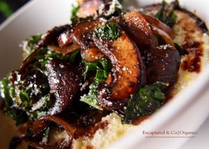 Today's hearty special is gluten free and vegetarian! Kale, Caramelized Onion, and Mushroom Polenta! Our Creamy, Organic Polenta topped with grilled Kale, Caramelized Onion, Balsamic Mushrooms, Romero Cheese, and Balsamic Reduction to finish!  at Sprouts Cafe in Gastonia