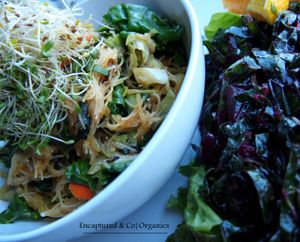 Szechuan Veggie Stir fry with Rice Noodles! Sauteed Kale, Cabbage, Shiitake Mushrooms, Leeks, and Spaghetti Squash tossed with Gluten Free Rice Noodles and Seasoned with a hint of Gluten Free Szechuan Sauce!  at Sprouts Cafe in Gastonia