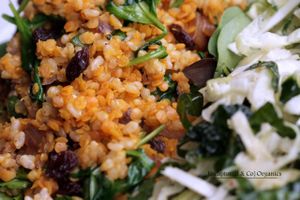 Spiced Red Lentils with Caramelized Onions and Spinach! Gently spiced Red Lentils with Ginger, Coriander, Turmeric, Cumin, and Cinnamon tossed with Caramelized Onions, Spinach, and Short Grain Brown Rice!  at Sprouts Cafe in Gastonia