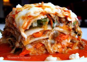 A beautiful veggie lasagna loaded with grilled organic veggies, green lentils, mozzarella and feta cheese, house made marinara sauce and GLUTEN FREE lasagna noodles!  at Sprouts Cafe in Gastonia