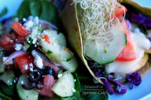 Grilled Veggie Wrap with Grilled, Organic Veggies and Fresh Avocado, Melted Muenster Cheese, Sprouts, and Tomatoes on a Spinach Tortilla Wrap!  at Sprouts Cafe in Gastonia