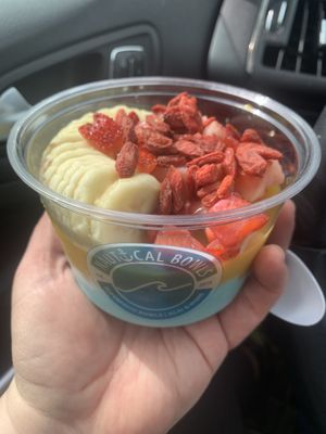   at Nautical Bowls in Geneva