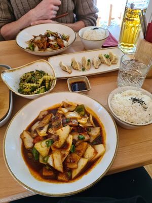 Cucumber salas, fried dumplings, pork belly (number 20) and black pepper soy bits (can't remember the exact names of the main dishes) at Kamala Vegan in Berlin