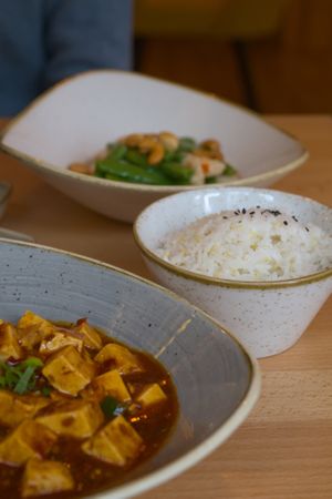 Rice and mapo tofu at Kamala Vegan in Berlin