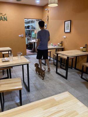   at Hem Vegan in Hanoi