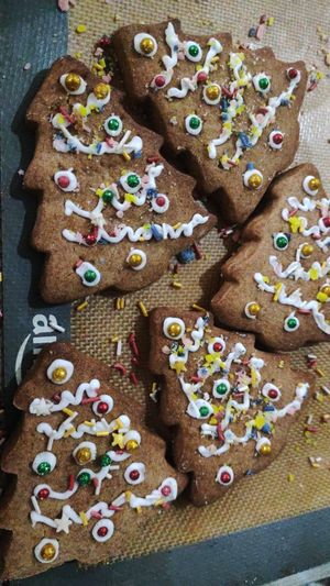 Galletas de jengibre at Casa Anacahuita in San Nicolas De Los Garza