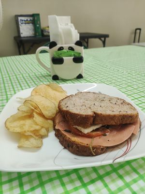 Sandwich at Casa Anacahuita in San Nicolas De Los Garza