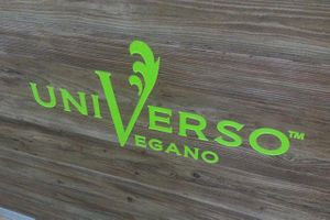 Universo Vegano at V36 Bar & Vegan Food in Savona