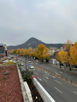 View from the roof! at Leedorim - Gyeongbokgung Main Branch  - 경복궁 본점 in Seoul